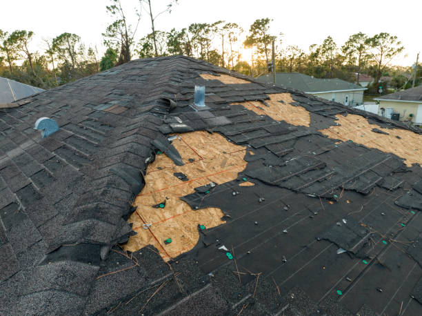 Best Green or Eco-Friendly Roofing Solutions  in Frankford, DE