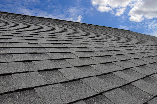 Best Storm Damage Roof Repair  in Frankford, DE